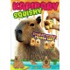 Kapibary Squishy